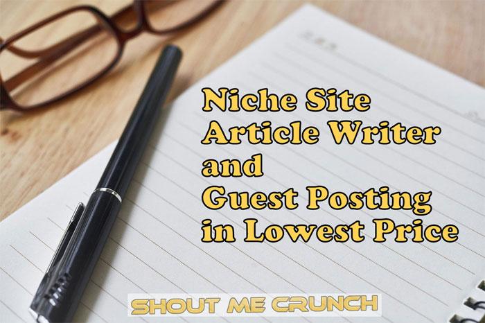 Niche Site Article Writer and Guest Posting