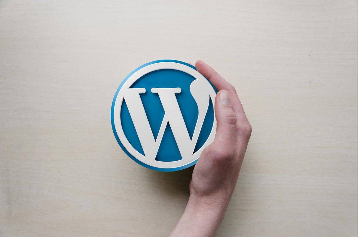 answering-the-wordpress-dilemma-vs