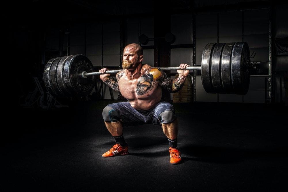 Bodybuilder Bodybuilder