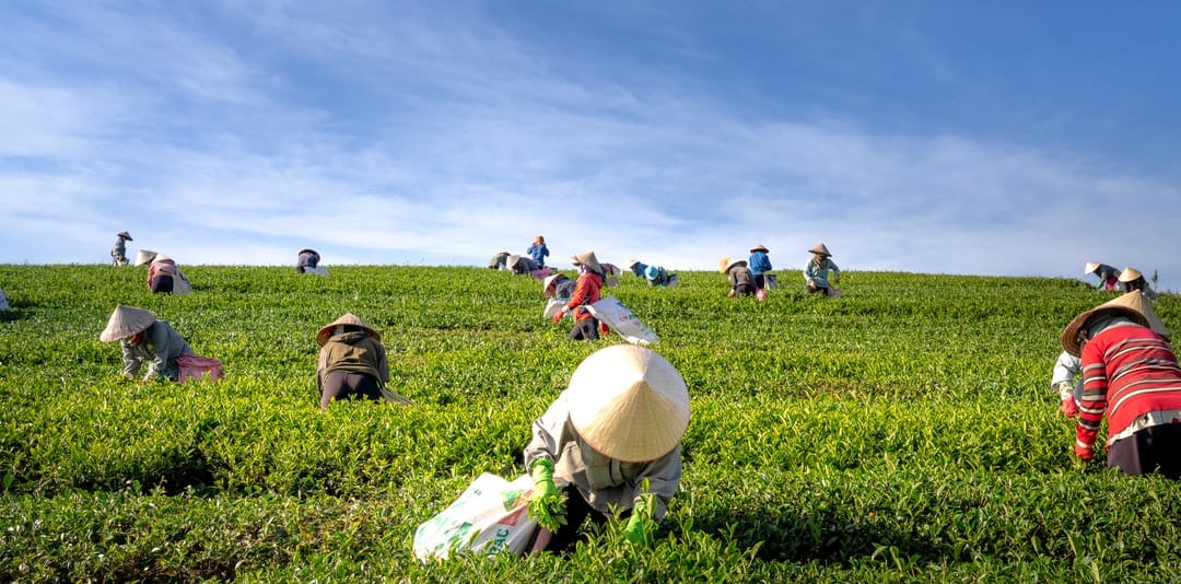 smart farming smart farming