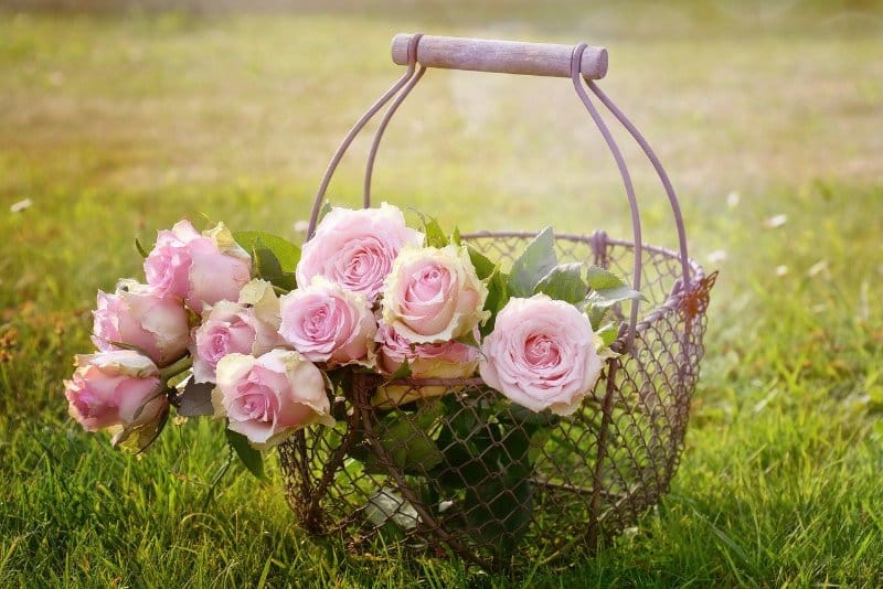Flower Garden Home Flower Garden Home