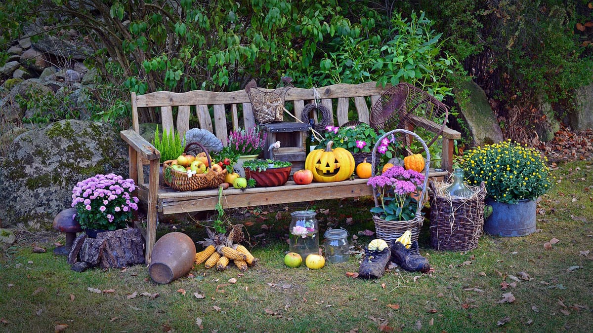 Harvest Festivals