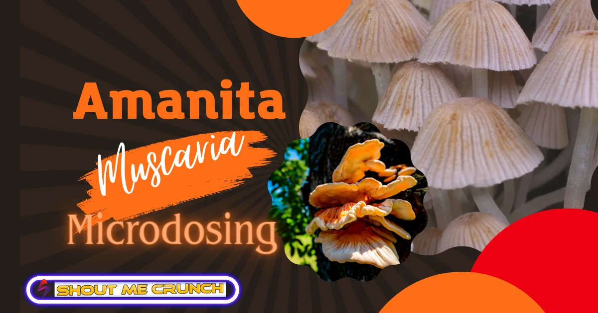 Amanita