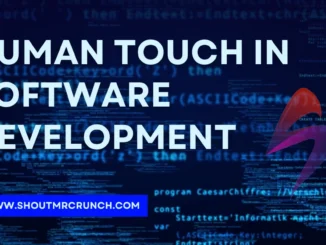 Human Touch in Software Development