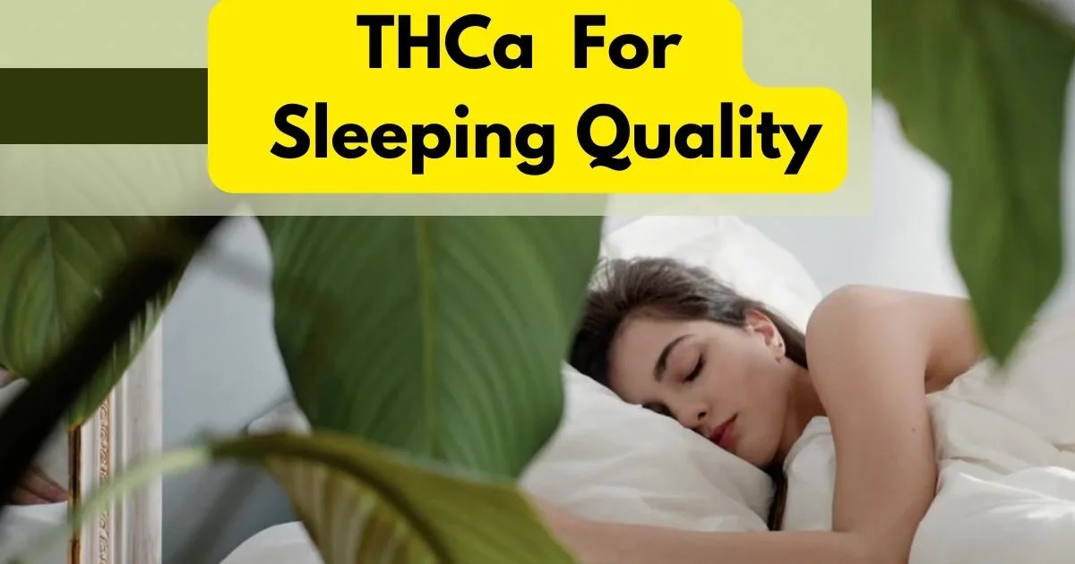 A better night's sleep is just a click away