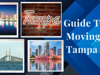 Guide To Moving Tampa
