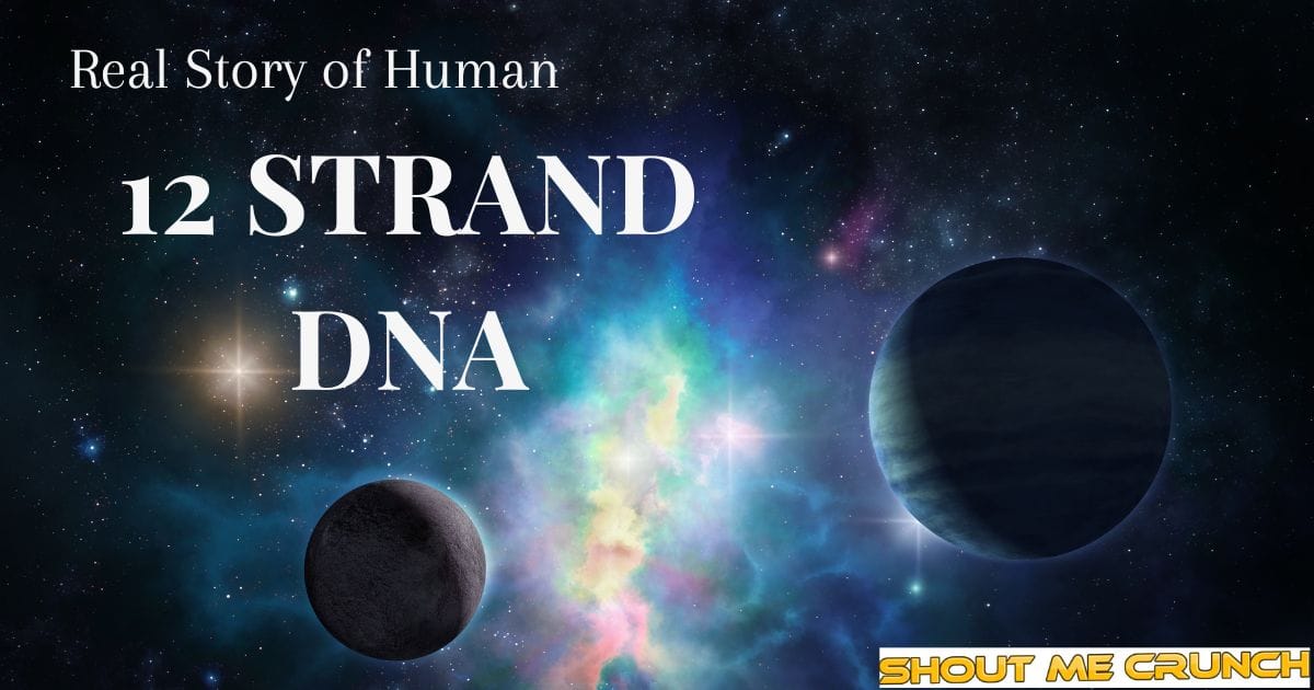 12 Strand DNA