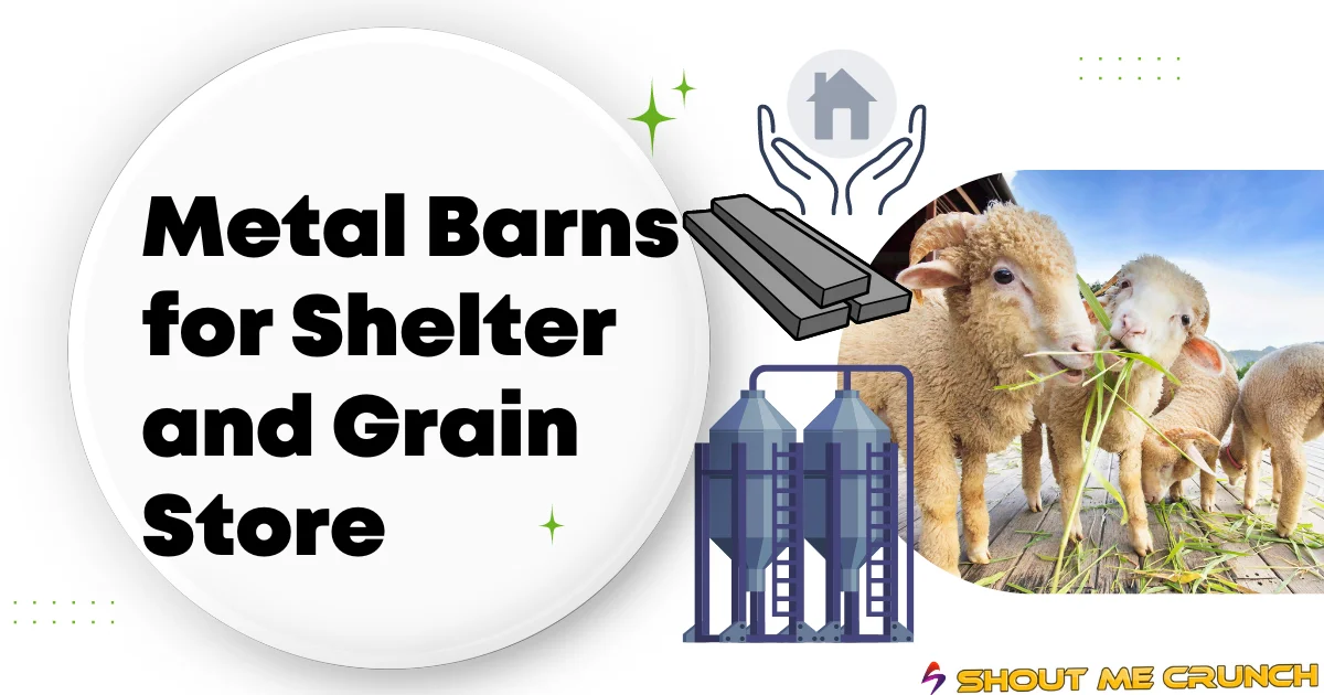 Metal Barns Shelter and Grain Store