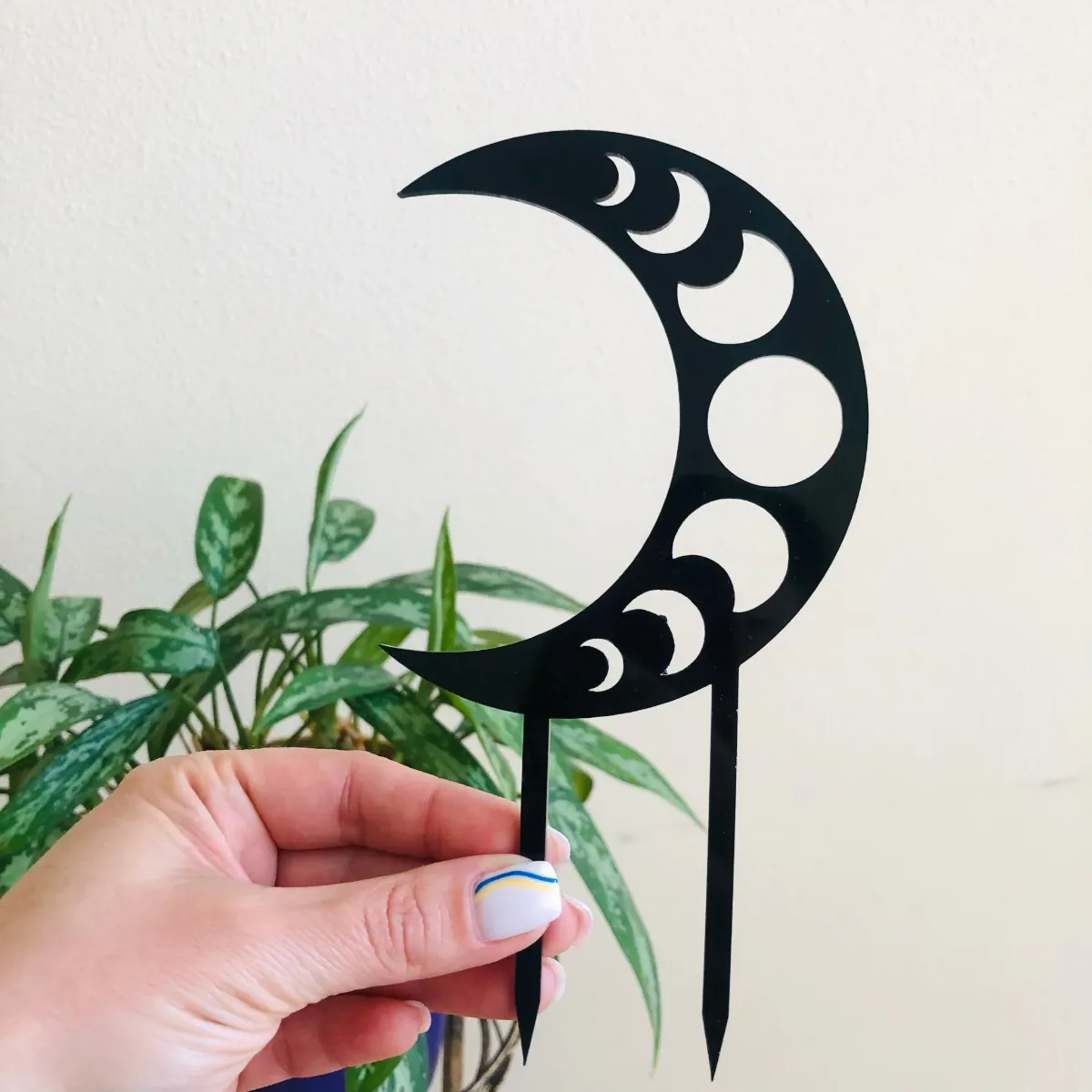 mystical-moon-phase-plant-trellis-black